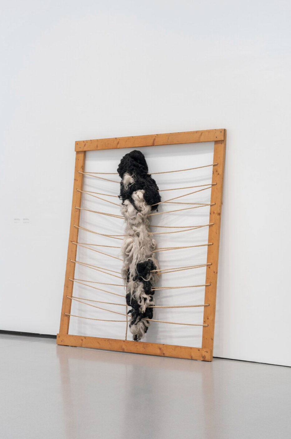 Jannis Kounellis, Sans titre, 1968 ADAGP, Paris 2024 Pinault Collection Vue de l’exposition « Arte Povera », Bourse de Commerce © Photo : Nicolas Brasseur / Pinault Collection