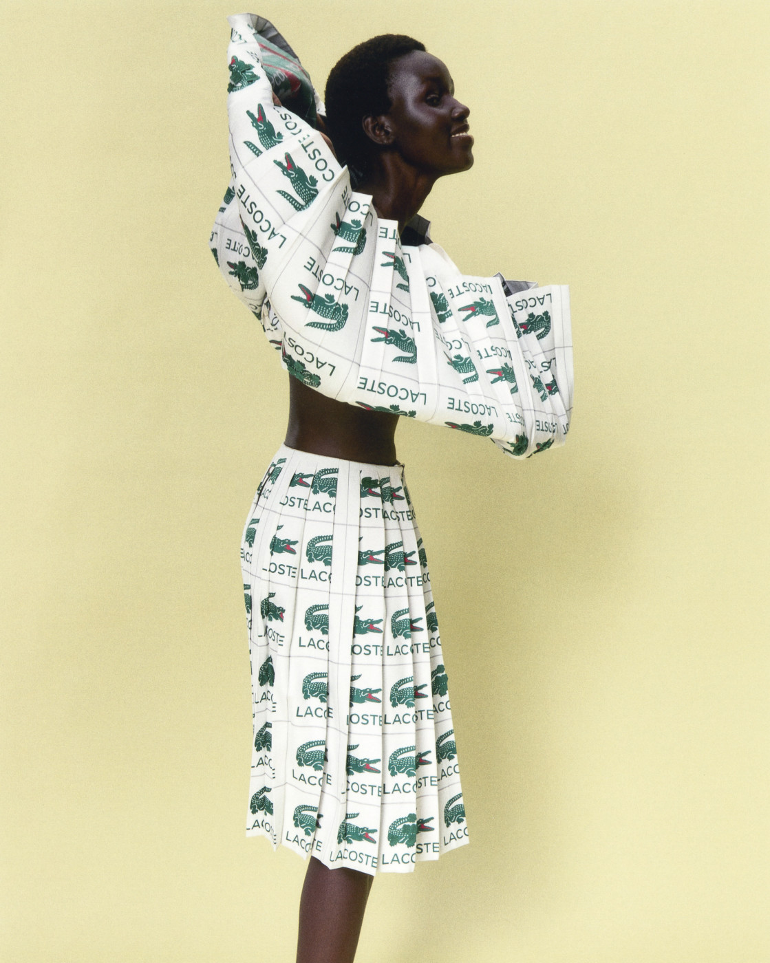 Jupe plissée collection Broderie 1 550 €