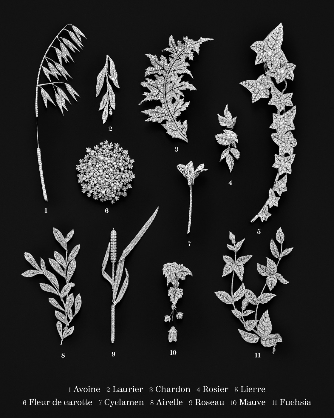 Herbier price upon request