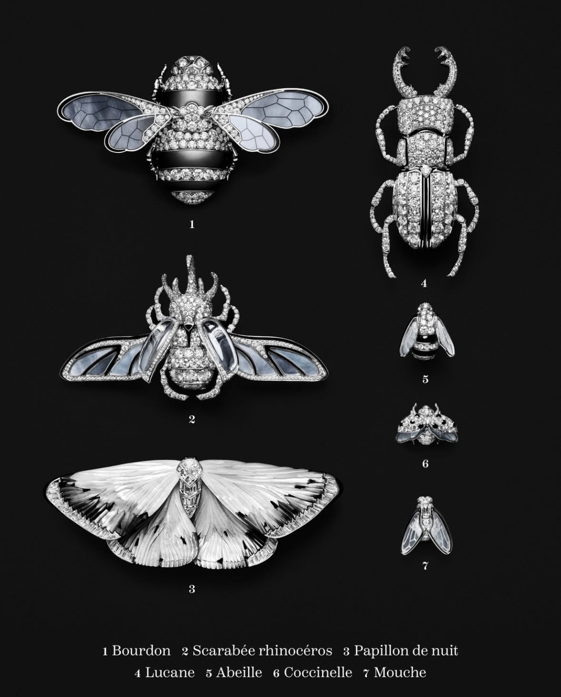 Herbier Insectes цена при запитване