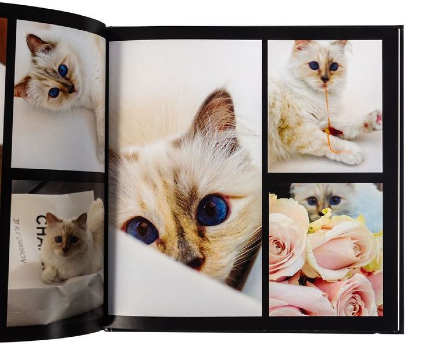 Lot 20, A photo album Les aventures de Princesse Choupette VOL 1, Est. 50-60 €