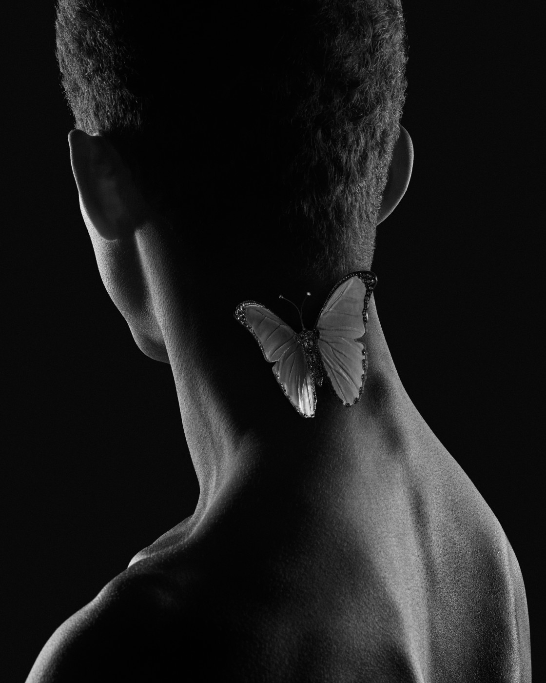 BOUCHERON Impermanence Butterfly brooch, Composition N°1