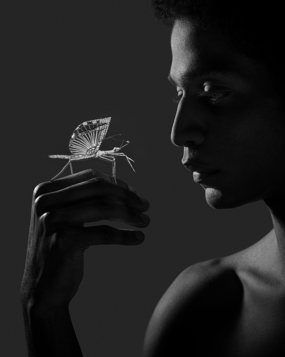 BOUCHERON Impermanence Stick insect brooch, Composition N°2