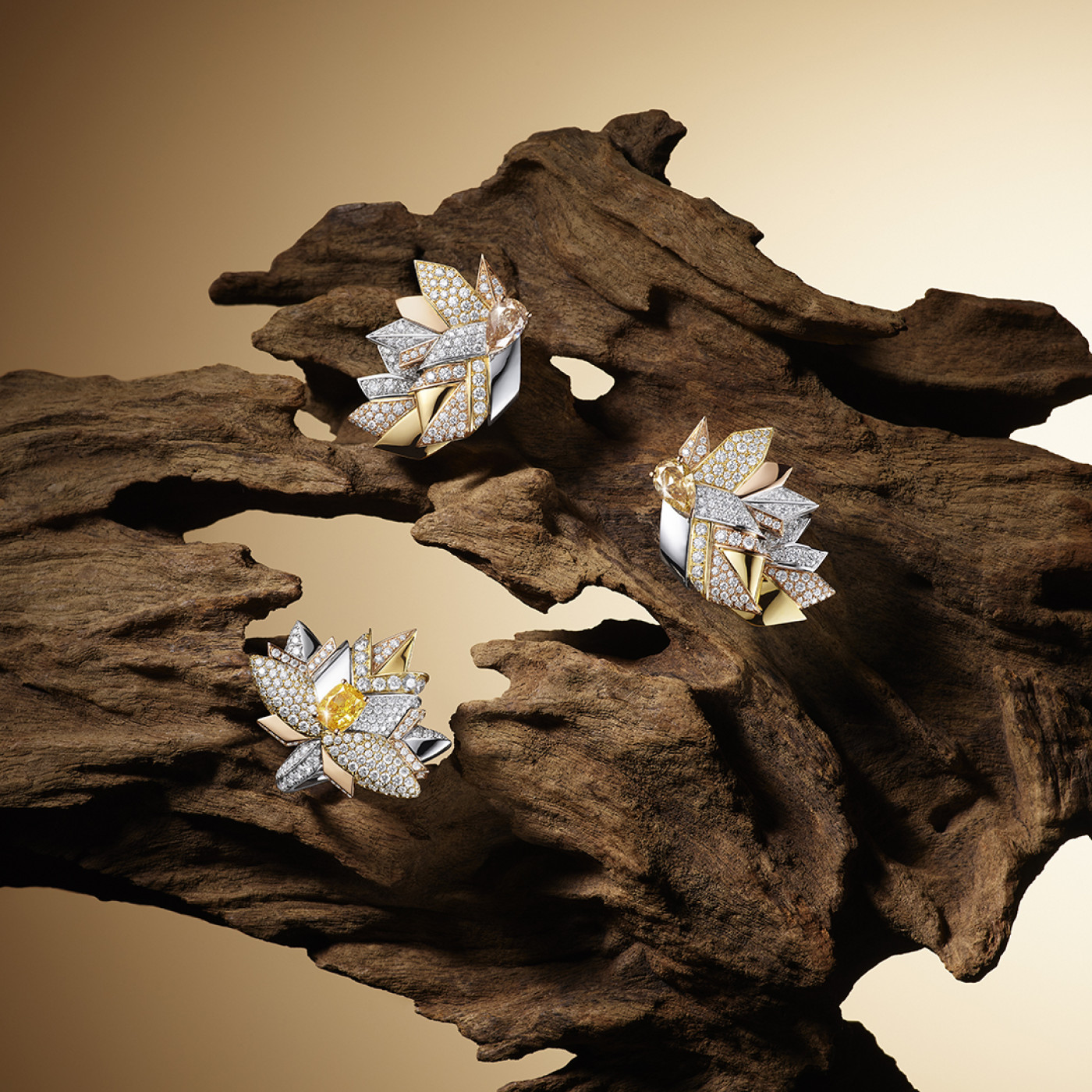 Maple Colors Rings & Earrings