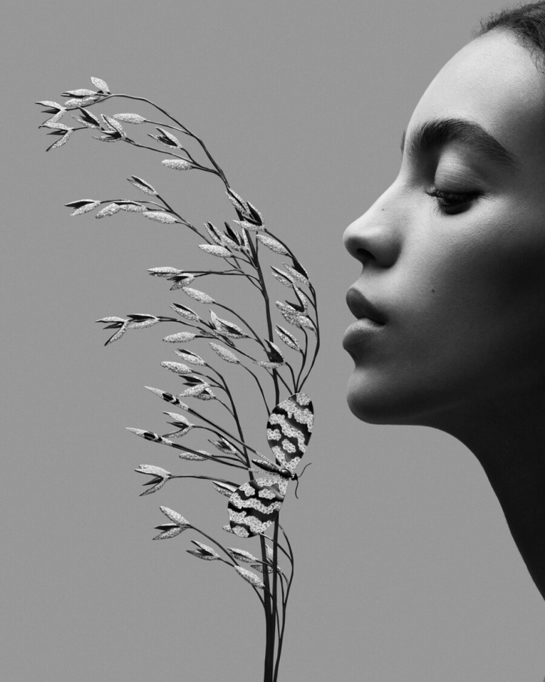 Oat head jewel Composition N°4