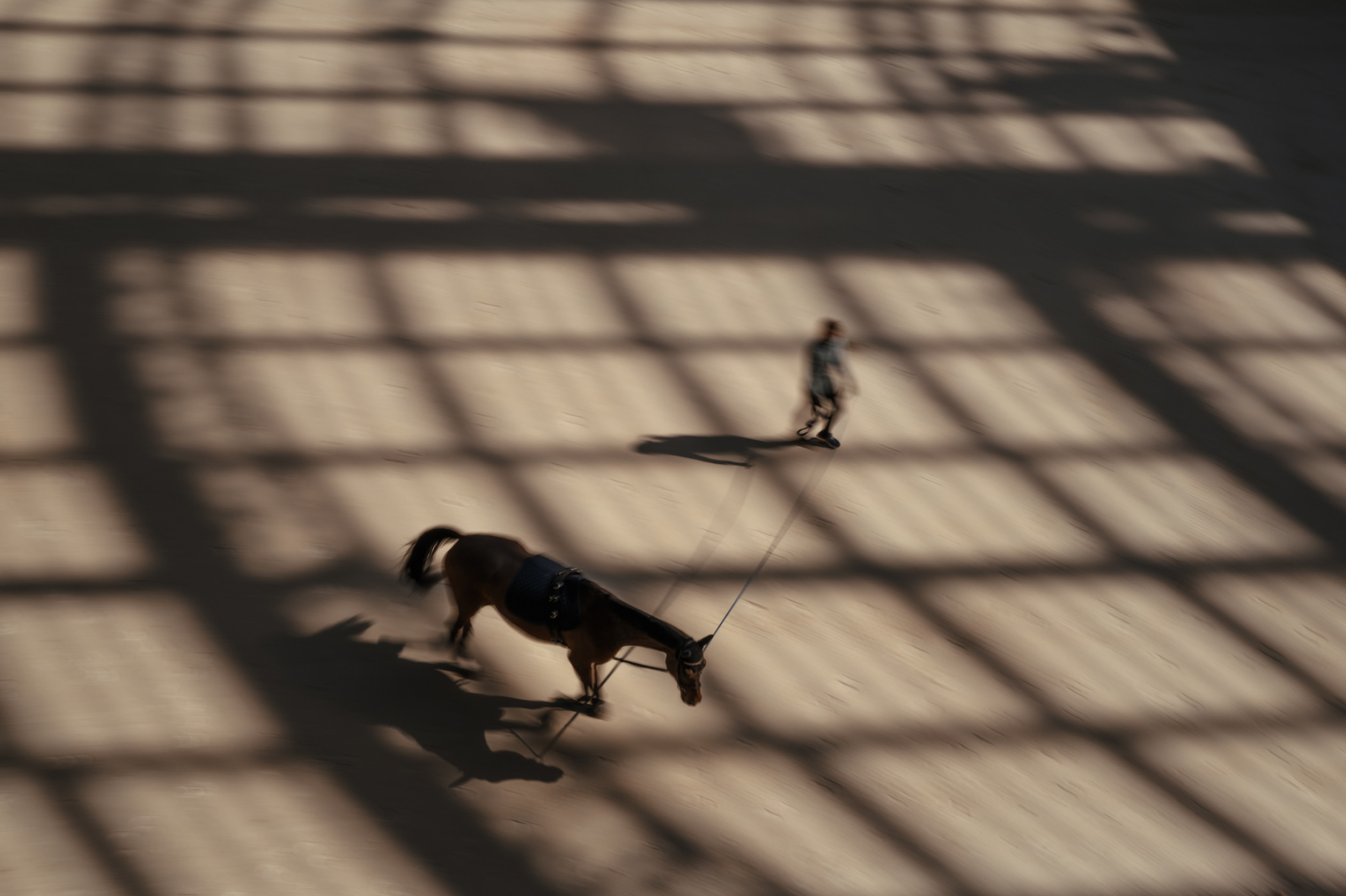 Photo: Christophe Taniere