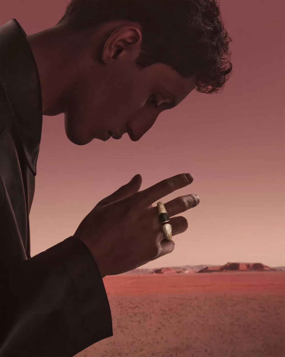 Hermès Centaure Double Ring © Julien Martinez Leclerc