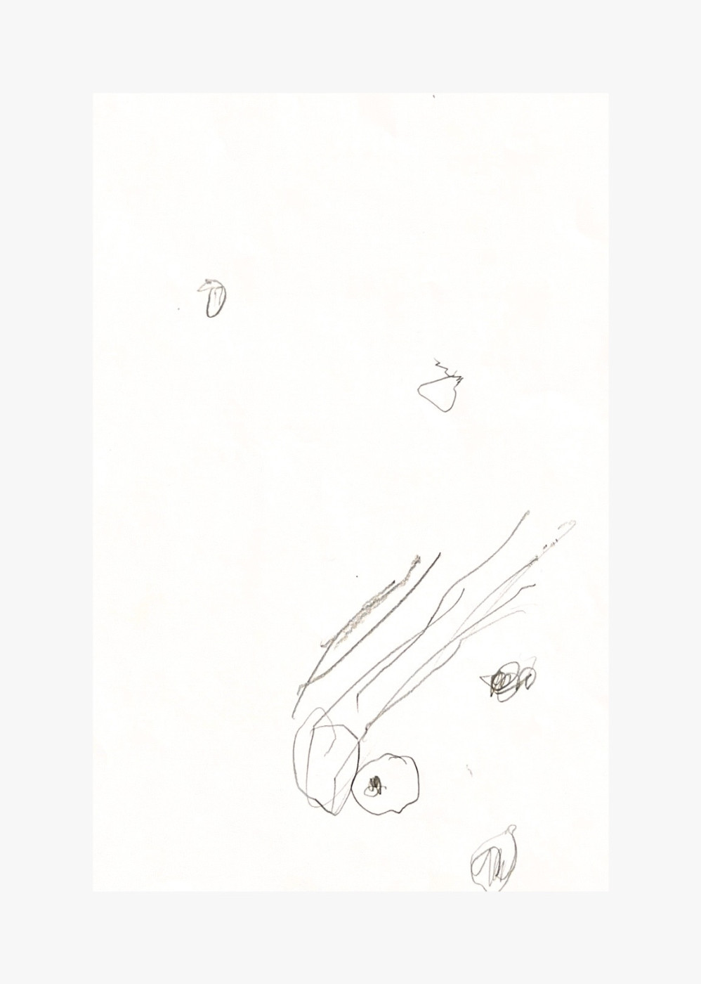 Carina Iacubenco's Daughter's Drawing, Inspiration for the SS26 Collection