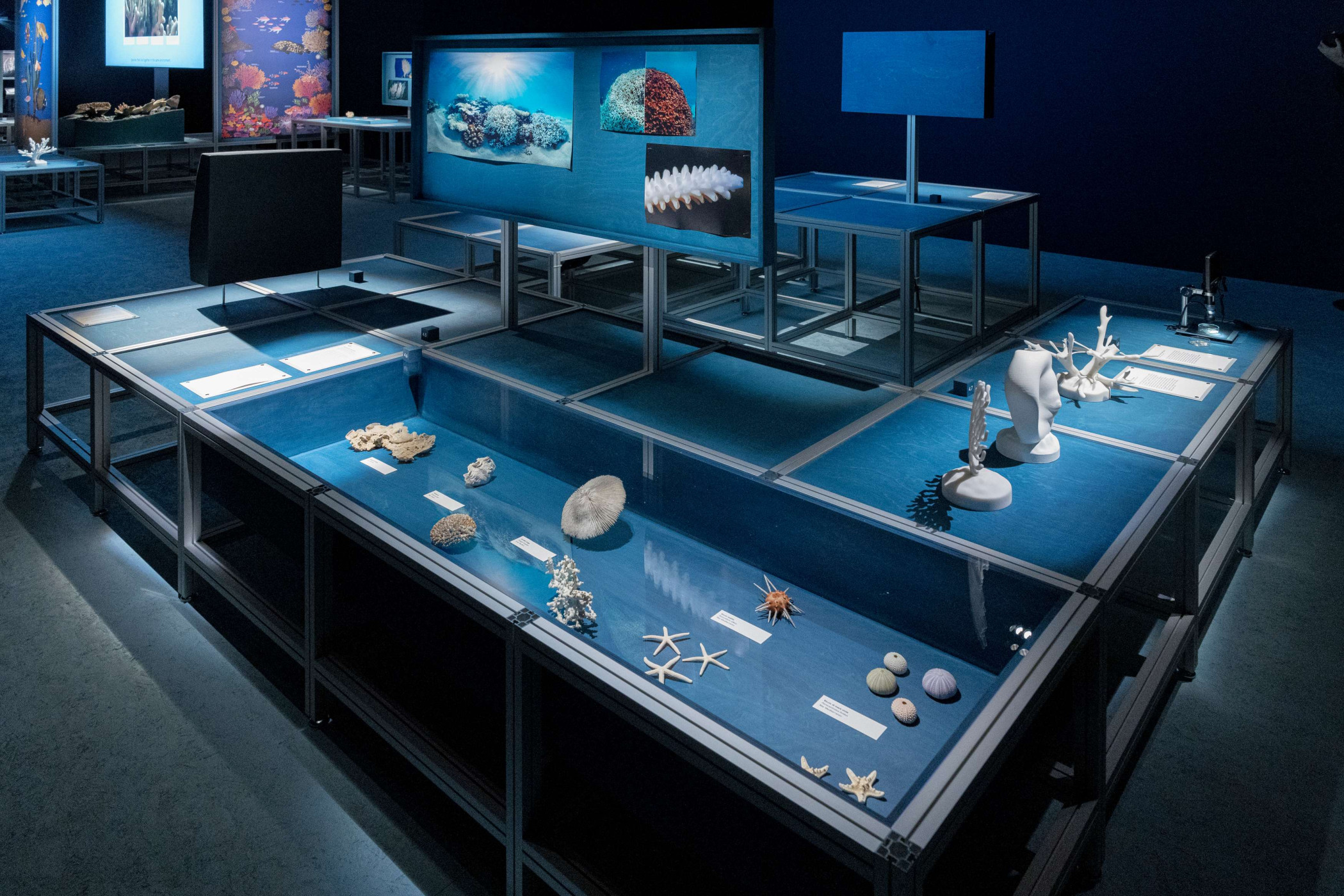 SEA BEYOND Ocean&Climate Village Luna Rossa Base - Courtesy of Prada Group.